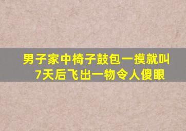 男子家中椅子鼓包一摸就叫 7天后飞出一物令人傻眼